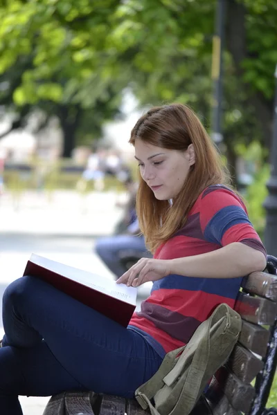 Studying in the park. — Stock Photo, Image