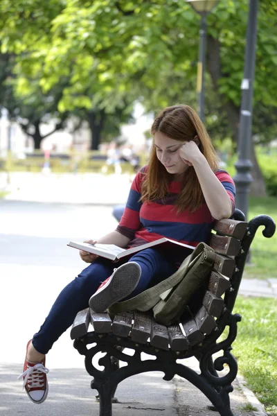 It's nice to prepare exams in the park. — Stock Photo, Image