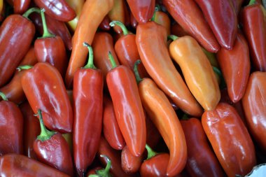 Grup kırmızı organik biber