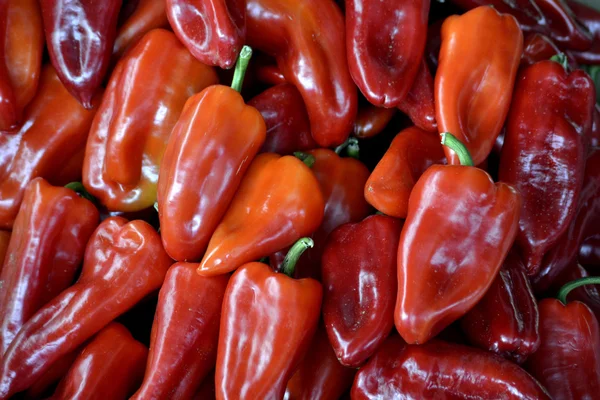 Grupo de pimientos rojos y orgánicos — Foto de Stock