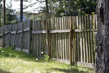 Wooden fence in the forest clipart