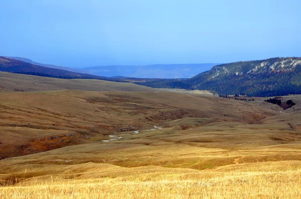 Lagonaki plateau. Adygea, Rusland — Stockfoto
