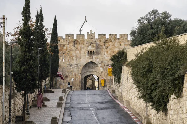 イスラエル エルサレム 2020年12月17日 古代エルサレムの壁にある ライオンの門 は曇りの日 — ストック写真