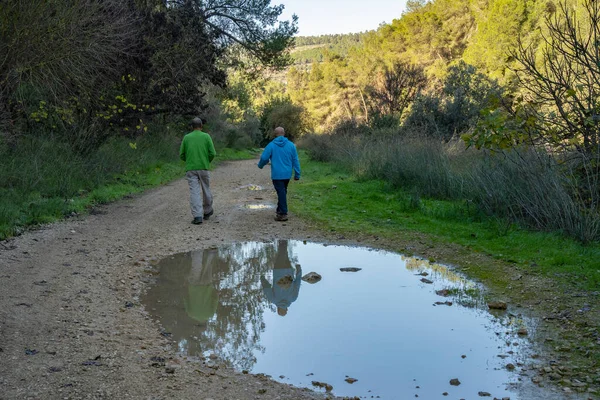 Two men hiking on a forest path, reflected in a puddle, near Jerusalem, Israel, at winter time.