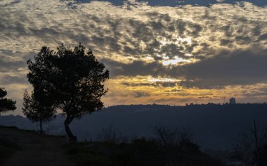 Kudüs, İsrail 'de sisli bir sabahta güneş doğarken bulutlu gökyüzü altın rengine dönüyor. Ön planda ağaç siluetleri.
