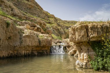 İlkbahar zamanı, İsrail 'in Judea Çölü' nün kıyısındaki Prat deresinde su..