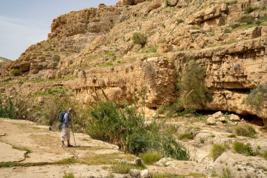 İsrail 'in Prat deresinin kıyısında bahar zamanı yürüyüş yapan bir yürüyüşçü..
