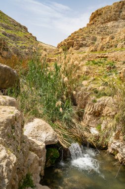 Prat deresinin üzerinde kısmen harap olmuş antik bir su kemeri, İsrail
