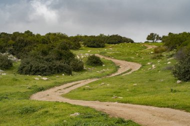 İsrail 'in Adullam bölgesinde, bulutlu bir günde tarlalardan ve tepelerden geçen bir doğa yolu..