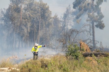 Mevasseret Zion, İsrail - 19 Haziran 2021: İsrail 'in Kudüs yakınlarındaki bir kasabanın belediye sınırında çıkan çam ağacı orman yangınında bir itfaiyeci.