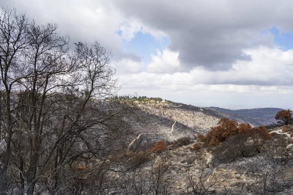 Árvores Queimadas Terraços Agrícolas Edifícios Após Incêndio Nas Montanhas Judéia — Fotografia de Stock