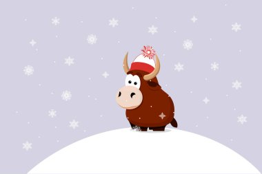 Boğa kışı kar taneleri