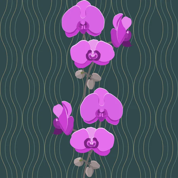 蘭柄のコンセプトパッケージ花 — ストックベクタ