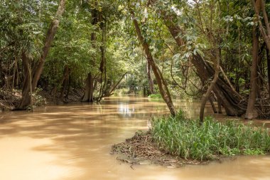 Şehir alanı Rio Negro 'nun dört nehir havzasının tamamını ya da bir kısmını kapsıyor. Sao Raimundo ve Educando nehirleri şehirde tamamen kontrol altına alınmıştır..