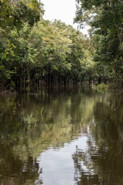 Şehir alanı Rio Negro 'nun dört nehir havzasının tamamını ya da bir kısmını kapsıyor. Sao Raimundo ve Educando nehirleri şehirde tamamen kontrol altına alınmıştır..