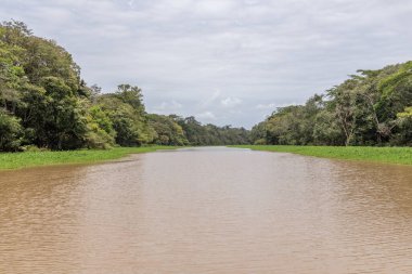 Şehir alanı Rio Negro 'nun dört nehir havzasının tamamını ya da bir kısmını kapsıyor. Sao Raimundo ve Educando nehirleri şehirde tamamen kontrol altına alınmıştır..