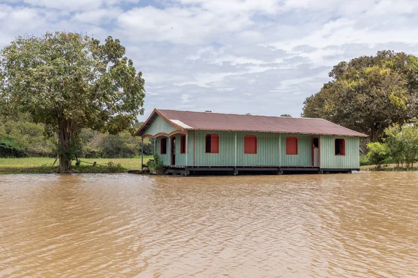 Brezilya Amazon 'unda Manaus şehrinin yakınındaki nehir kenarı ve sürat tekneleri