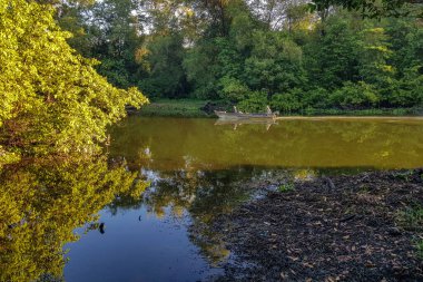 Kuzey Brezilya 'daki Fortaleza Ceara şehrindeki Coco doğal parkı