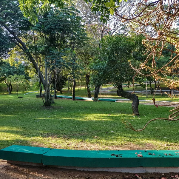 Coco Naturpark Staden Fortaleza Ceara Norra Brasilien — Stockfoto