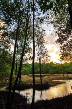 Brezilya 'nın kuzeydoğusundaki Fortaleza Ceara şehrindeki Coco Park' a sahneler