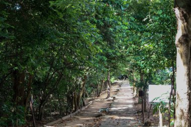 Fortaleza Ceara Brezilya 'daki Coco ekoloji parkında