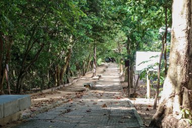 Fortaleza Ceara Brezilya 'daki Coco ekoloji parkında