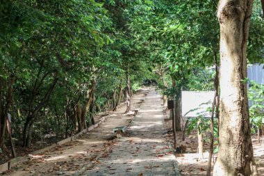 Fortaleza Ceara Brezilya 'daki Coco ekoloji parkında