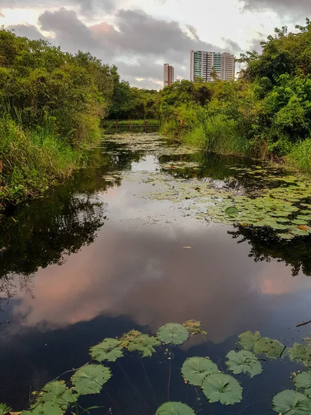 Fortaleza Ceara Brezilya 'daki Coco ekoloji parkında