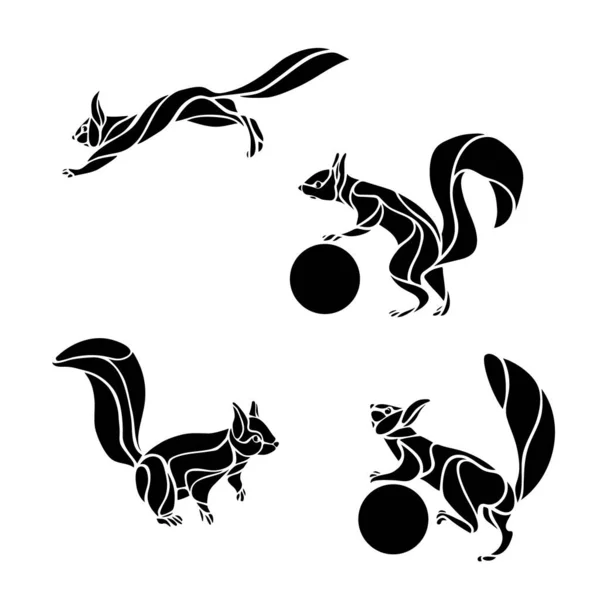 Eichhörnchen in verschiedenen Posen. Vektorillustration. — Stockvektor