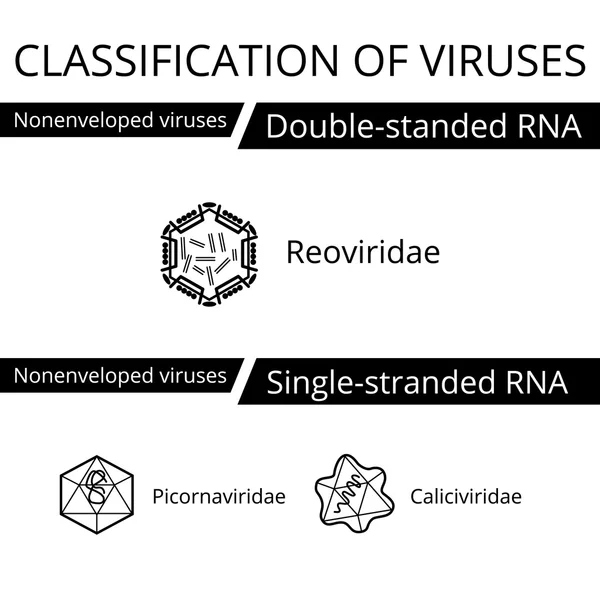 ウイルスの分類. — ストックベクタ