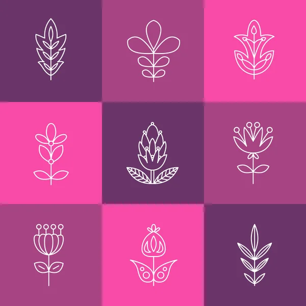 Conjunto de gráficos de flores . — Vector de stock