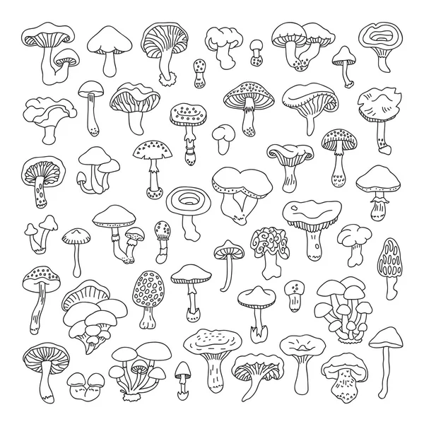 Set of vector hand-drawn, doodles mushrooms. — Stock Vector