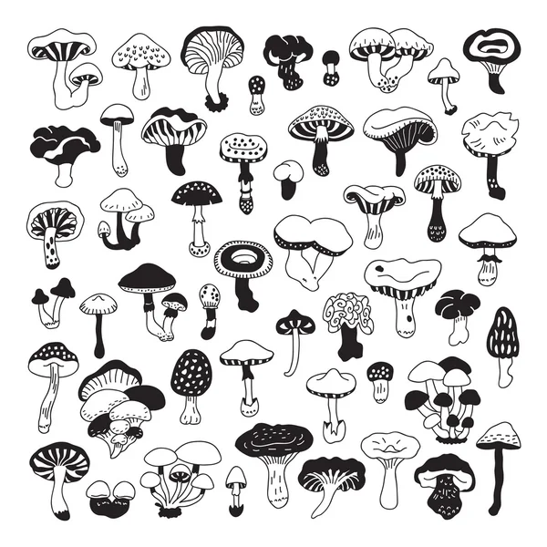 Set of vector hand-drawn, doodles mushrooms. — Stock Vector