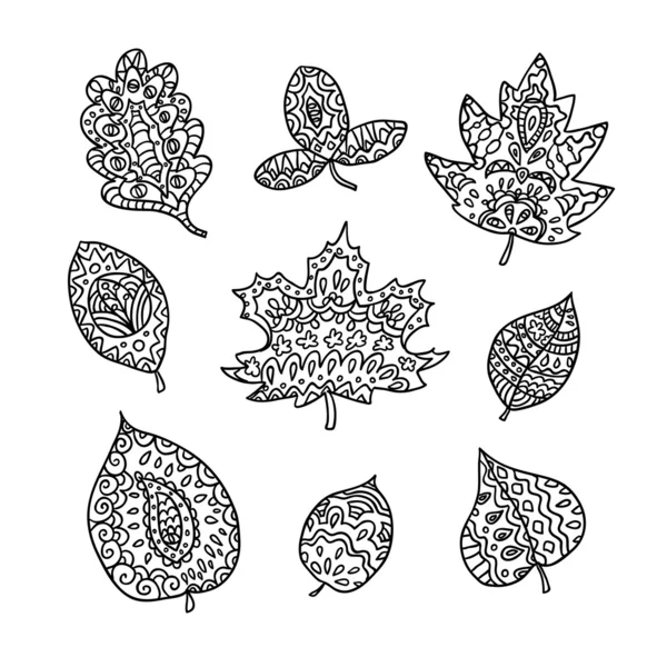 Jeu de feuilles vectorielles — Image vectorielle