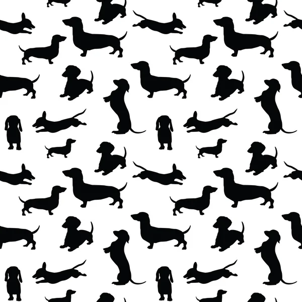 köpekleri ile Seamless Modeli