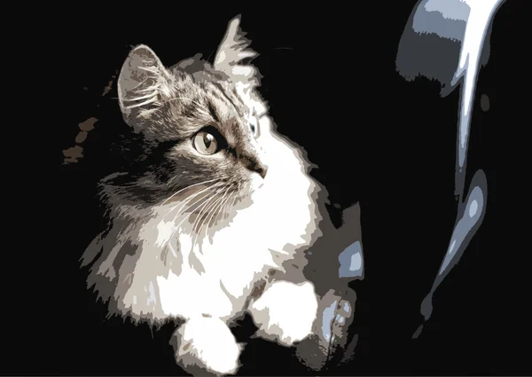 Διανυσματική απεικόνιση της γάτας — Διανυσματικό Αρχείο