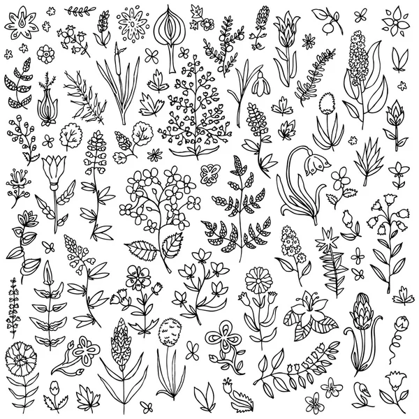 Conjunto de plantas y flores — Vector de stock