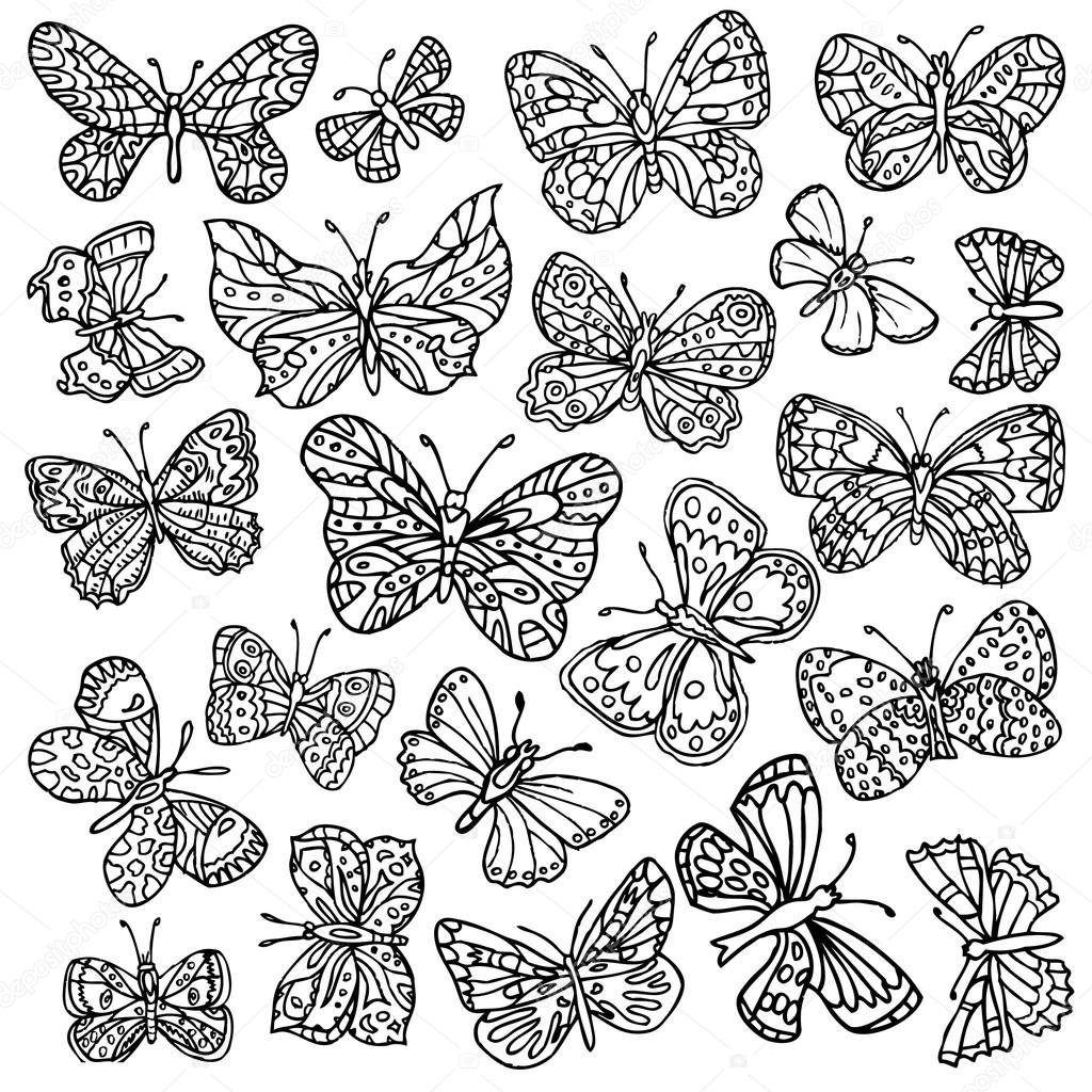 Vector set of butterflies. Hand-drawn ornate butterflies isolated on ...