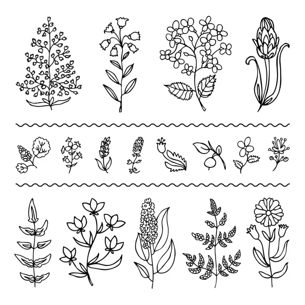 Conjunto de plantas y flores — Vector de stock