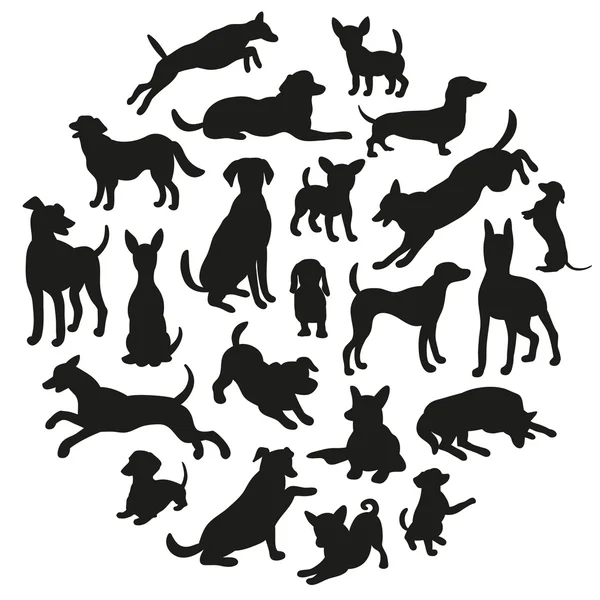 Set of dogs silhouette. Collection of vector silhouette in circle. Beautiful vector design. — Stock Vector