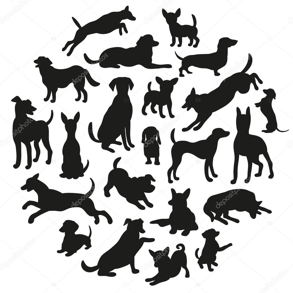 Set of dogs silhouette. Collection of vector silhouette in circle. Beautiful vector design.