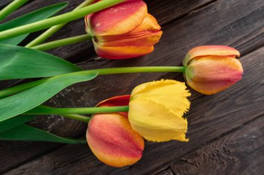 Eski ahşap arka planda bir grup lalenin yakın görüntüsü