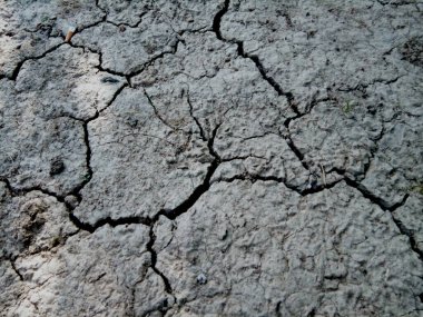 Romanya 'da kurak ve kurak topraklar