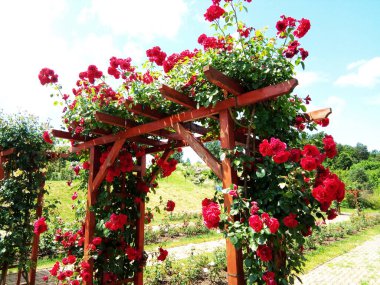 Güllü ahşap kapı - dekor