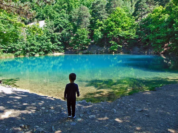 Garçon Regarde Lac Bleu Baia Sprie Maramures — Photo