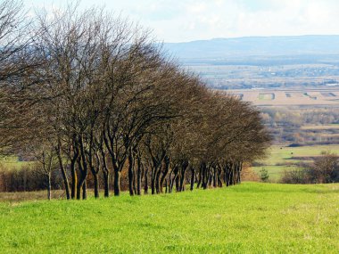 Maramures ilçesinde sonbahar manzarası