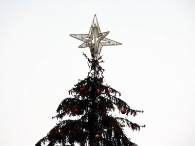 Baia Mare şehrinde Noel ağacı