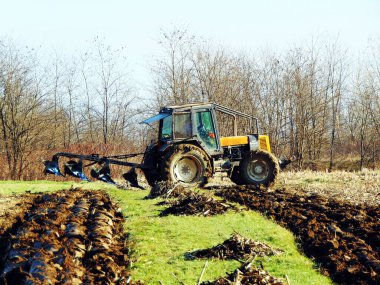 Tarlada traktör var.