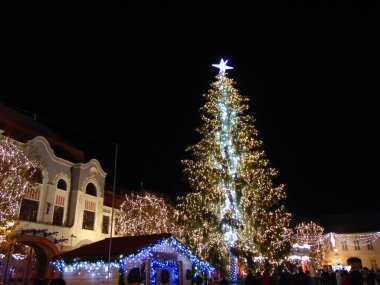 Baia Mare şehrinde Noel ağacı