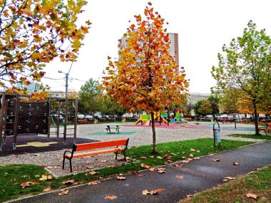 Parkta sonbahar - Baia Mare